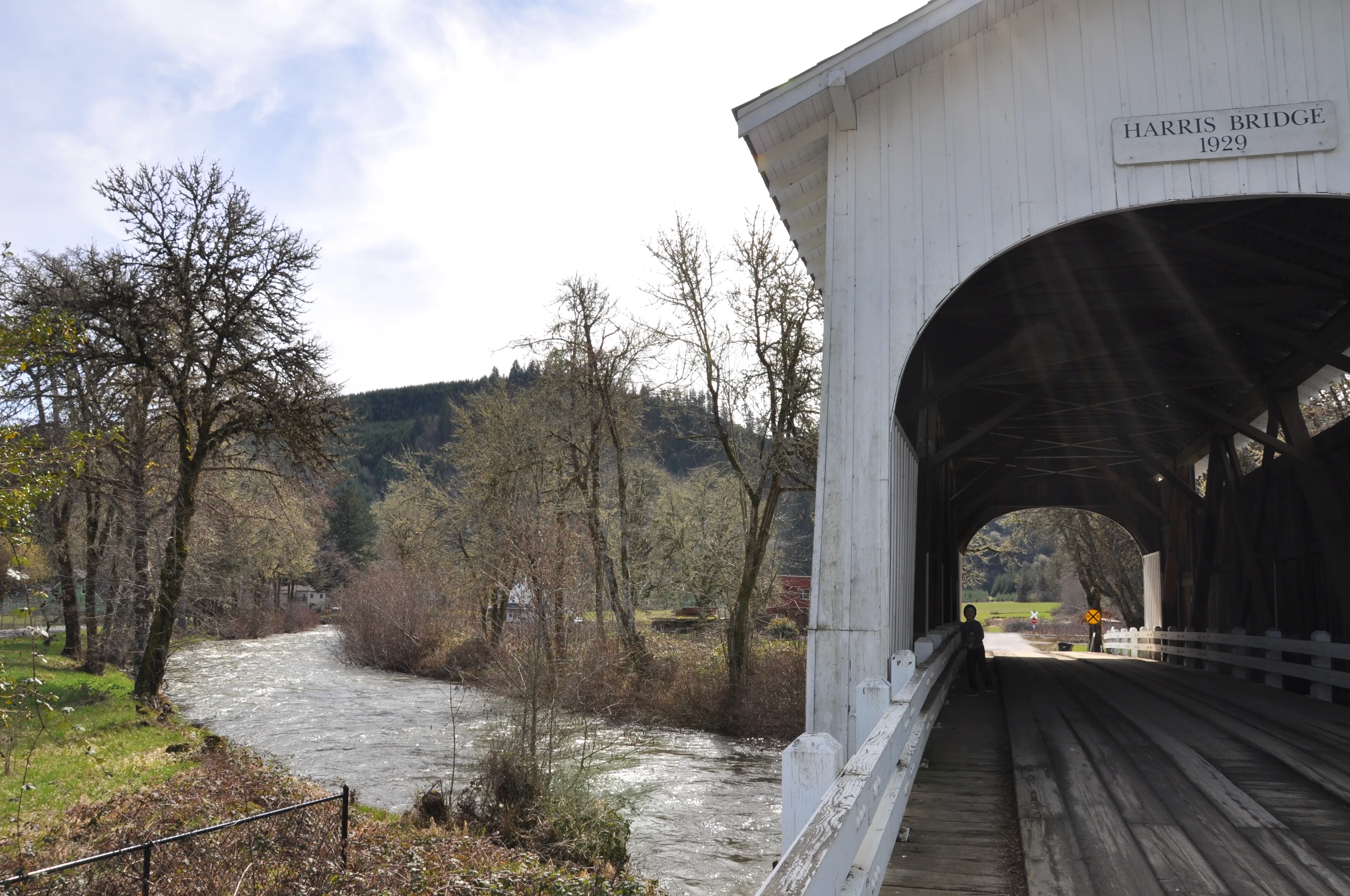 Harris Bridge — creek perspective