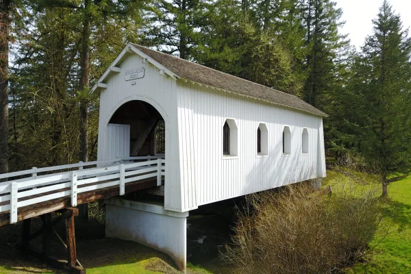 Ritner Creek Bridge — forest canopy view