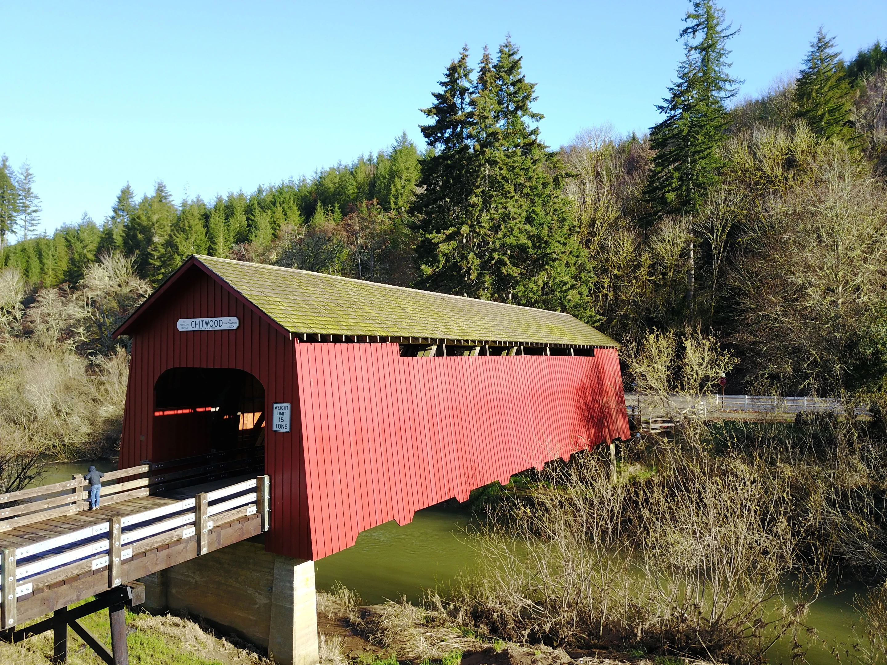 Chitwood Bridge — forest canopy