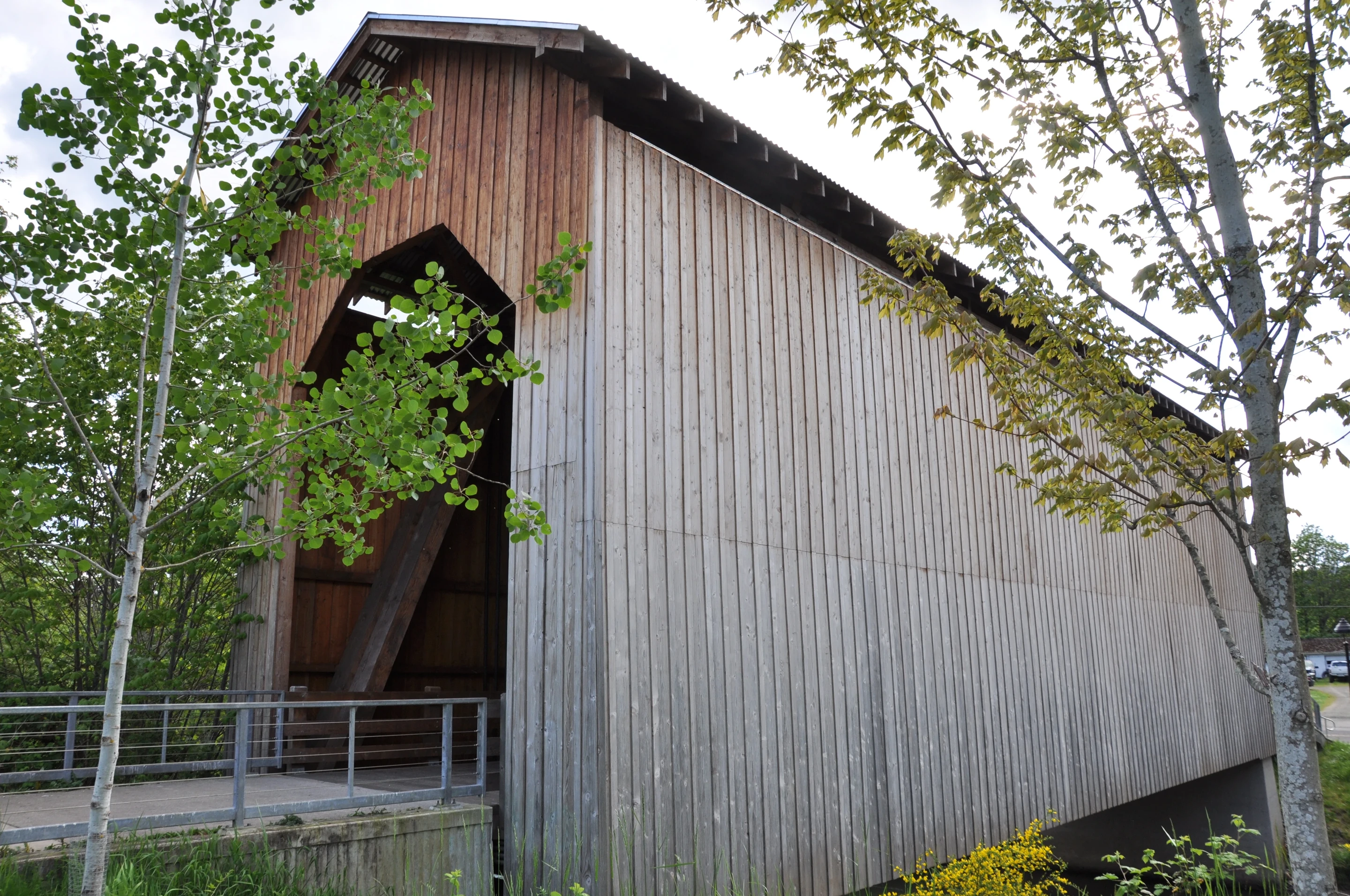 Chambers Bridge — side elevation