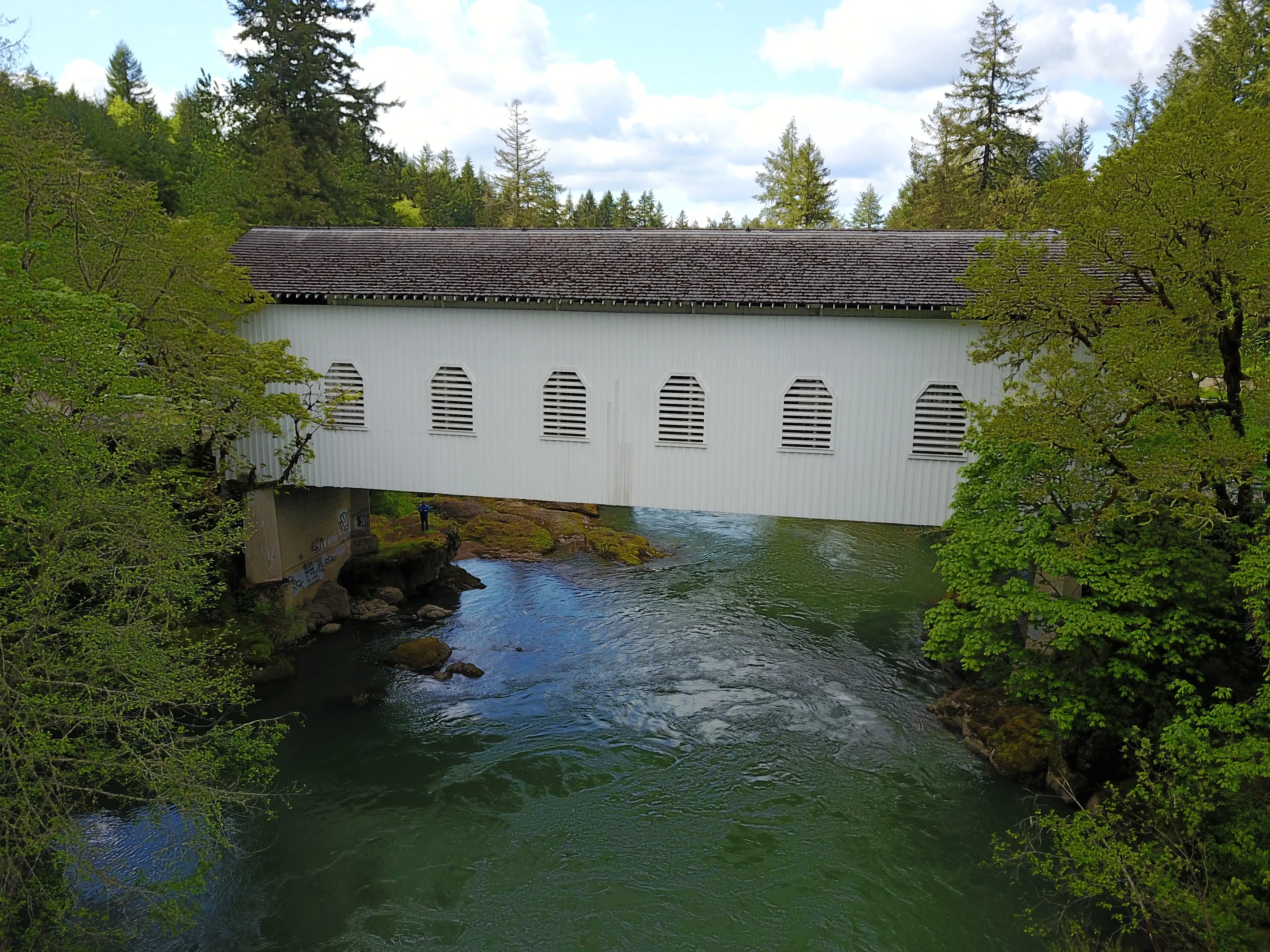 Dorena Bridge — aerial view