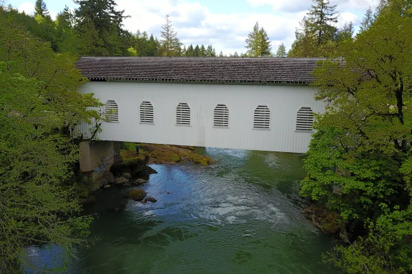 Dorena Bridge — aerial view