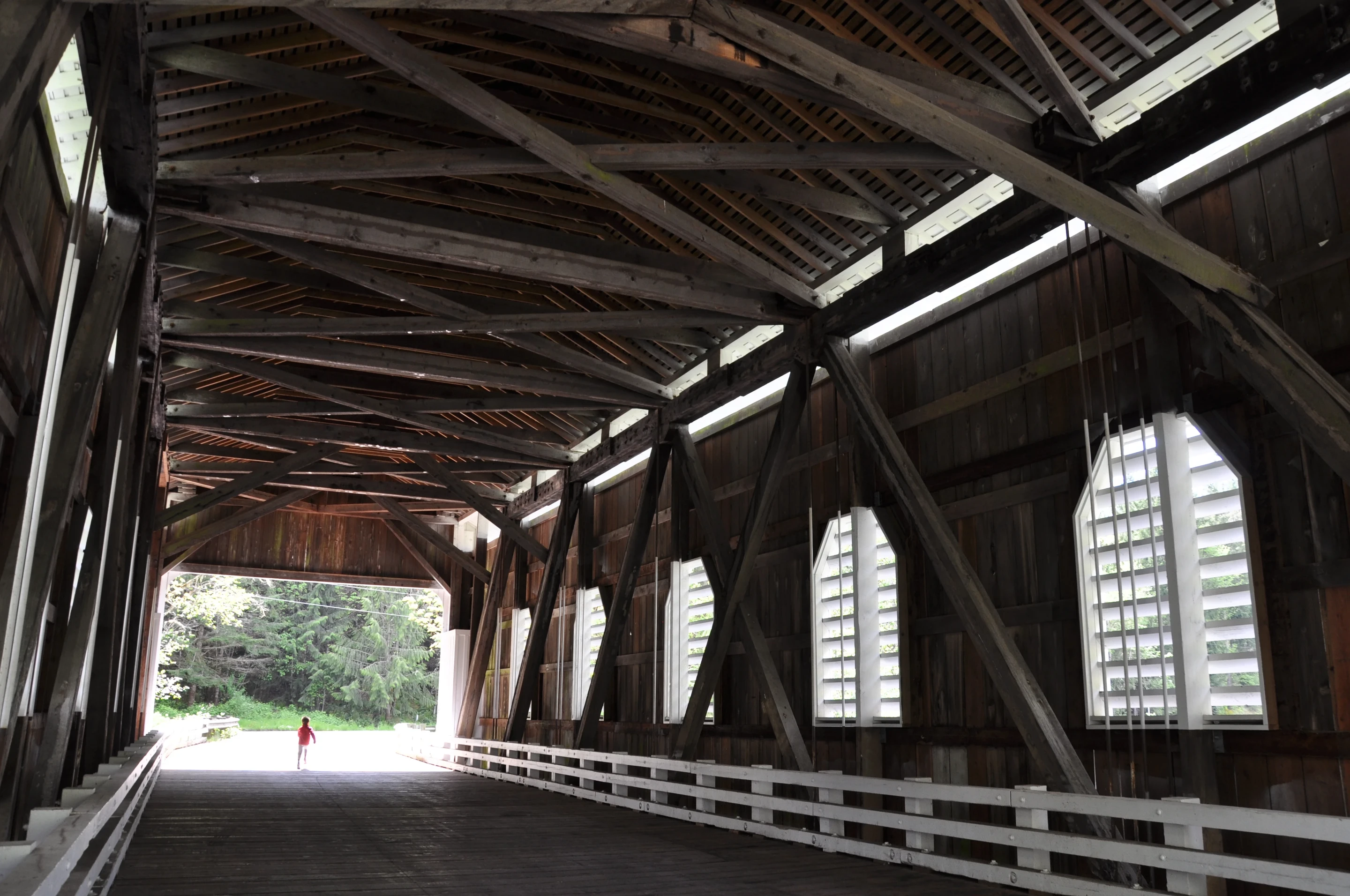 Dorena Bridge — reservoir view