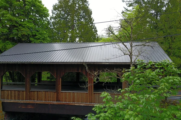 Cedar Crossing Bridge — aerial view