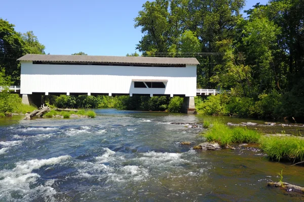 Pengra Bridge — aerial overview