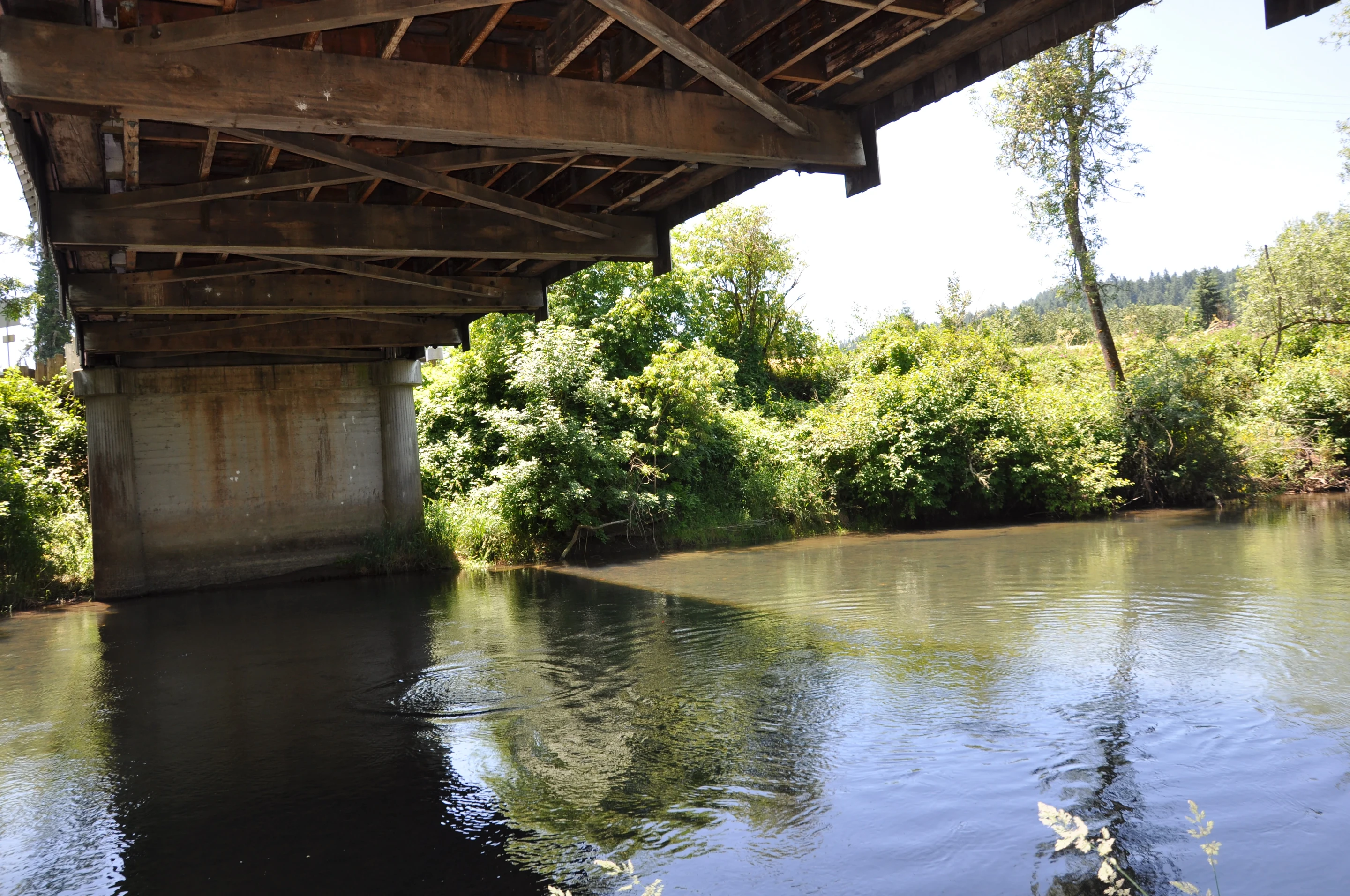 Unity Bridge — portal entrance