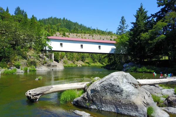 Milo Academy Bridge — aerial approach