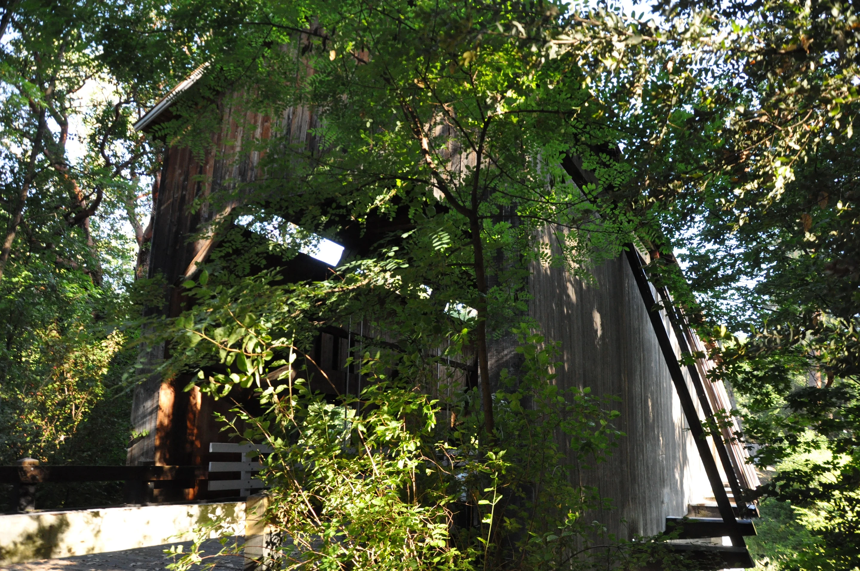 McKee Bridge — river view