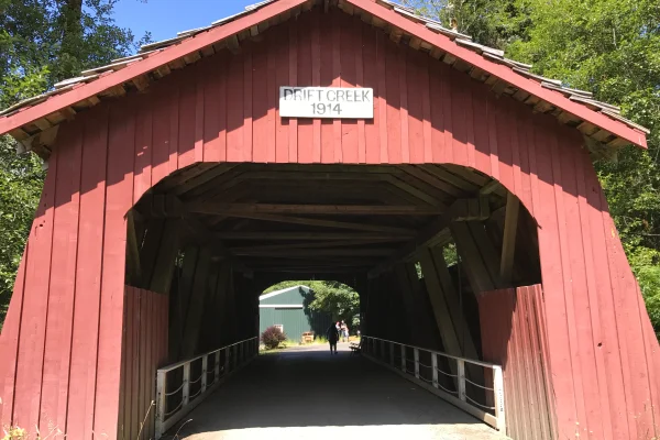 Drift Creek Bridge — creek view