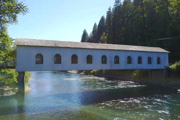 Goodpasture Bridge — aerial view