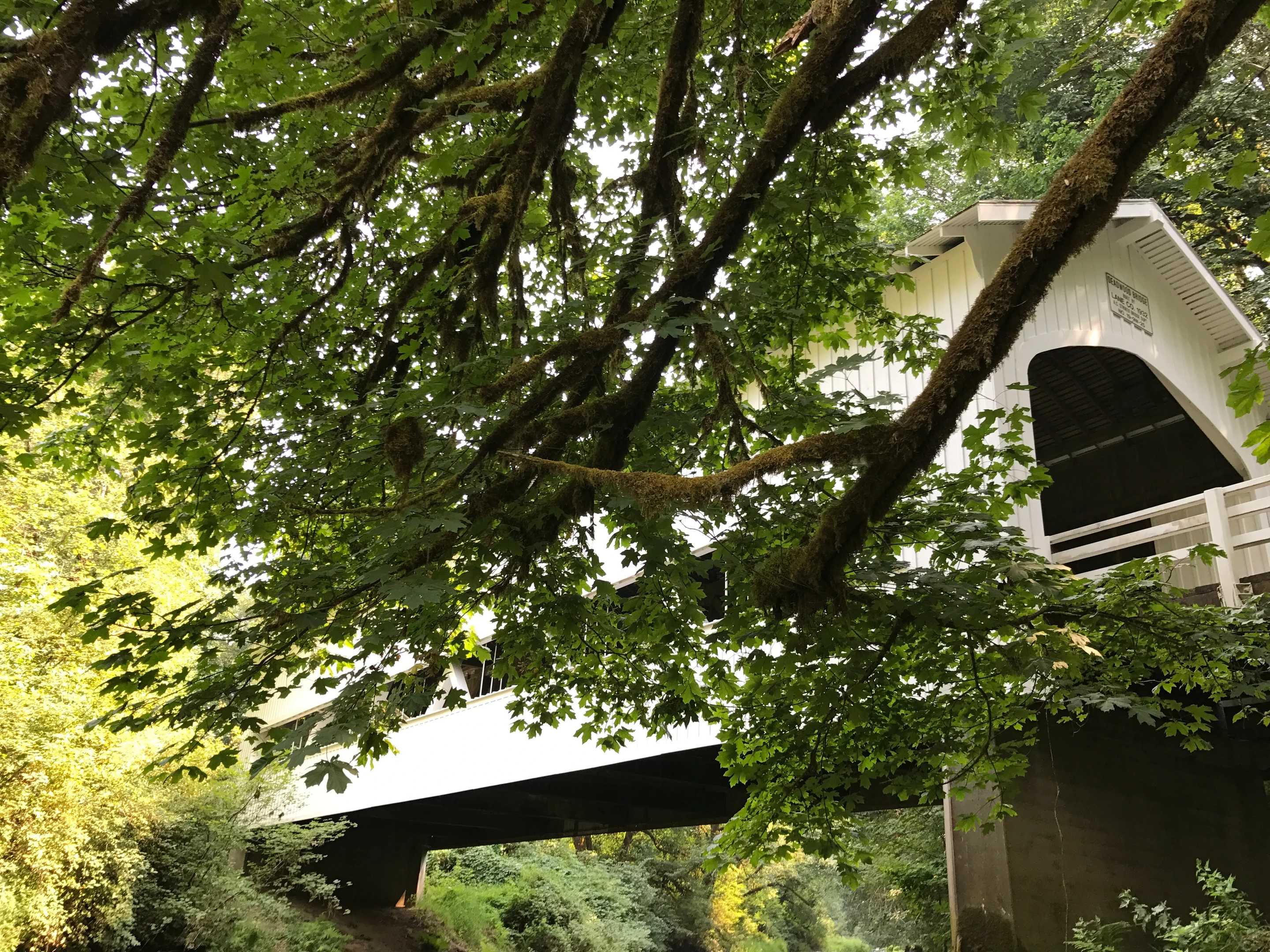 Deadwood Bridge — downstream view