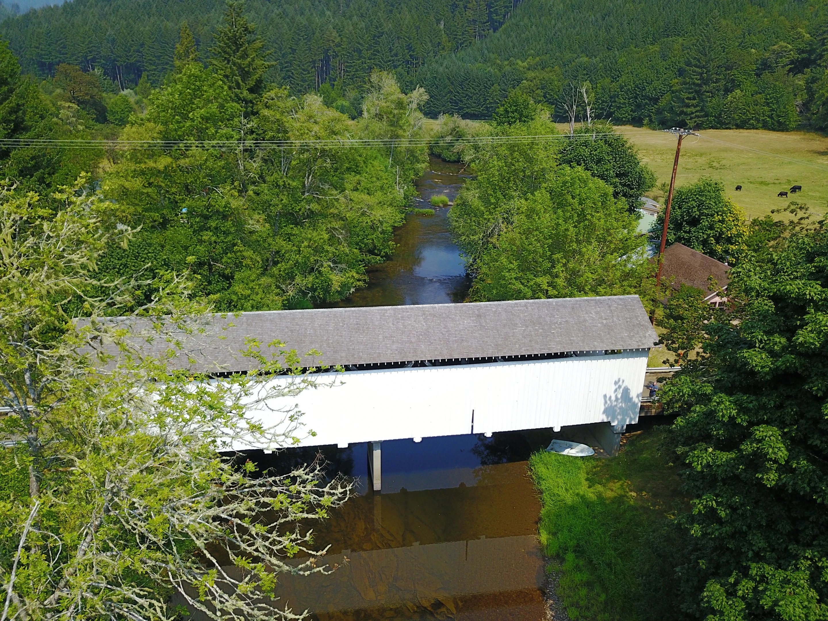 Nelson Mountain Bridge — aerial overview