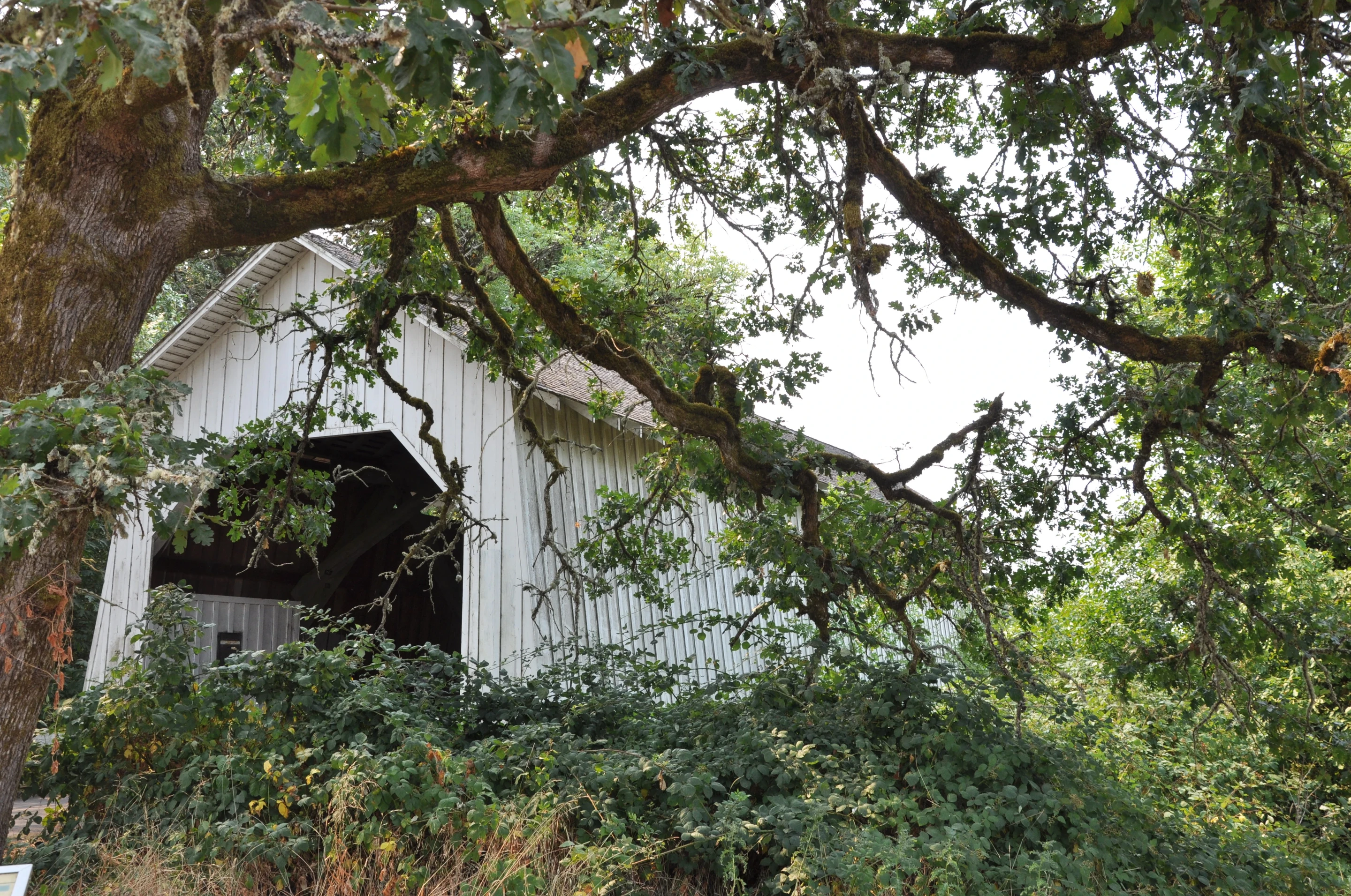 Irish Bend Bridge — downstream view